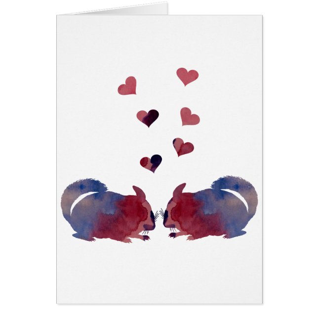 Chinchillas (Devant)