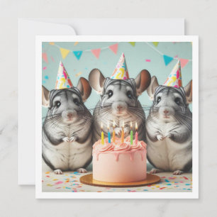 chinchillas manger gâteau invitation anniversaire