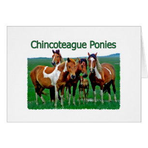 Chincoteague Ponies (famille)