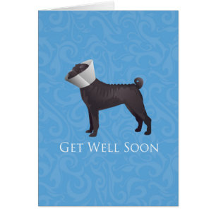 Chinois Shar Pei Se Bien Bientôt Carte De Race De