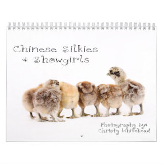 Chinois Silkie et calendrier de fille de scène