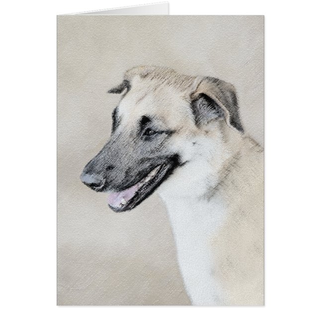 Chinook (oreilles d'hélicoptère) Peinture - Chien  (Devant)