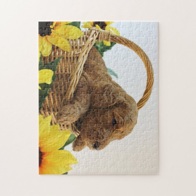 Chiot 11X14 (252 PCs de Goldendoodle.) Puzzle (Vertical)