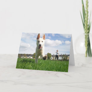 Chiot à la carte de voeux de jeu