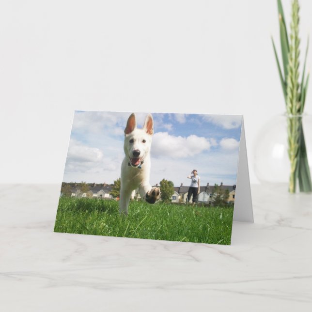 Chiot à la carte de voeux de jeu (Devant)
