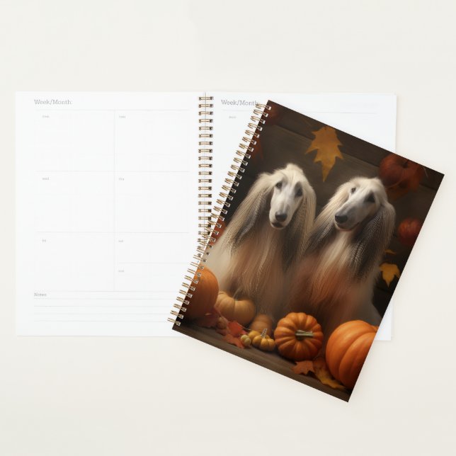 chiot Afghan Hound Délice d'Automne Citrouille (Devant avec enveloppe)