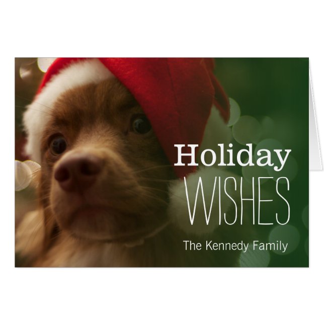 chiot assis devant le bokeh de noël (Devant horizontal)