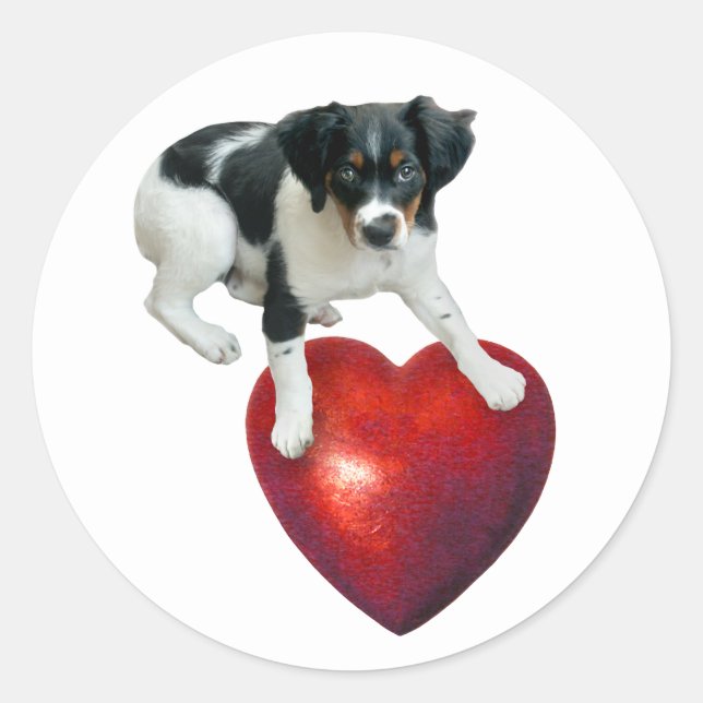 Chiot avec Sticker de Coeur Rouge (Devant)