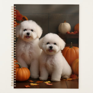 Chiot Bichon Frise Délice d'Automne Citrouille