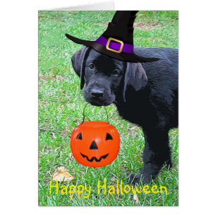 Chiot Citrouille Halloween - Black Lab