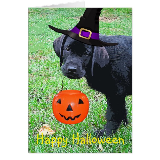 Chiot Citrouille Halloween - Black Lab (Devant)