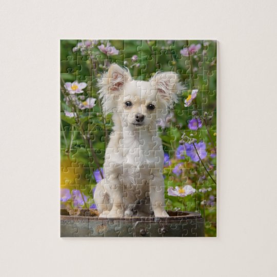 Chiot crème aux cheveux longs mignon de chien de puzzle