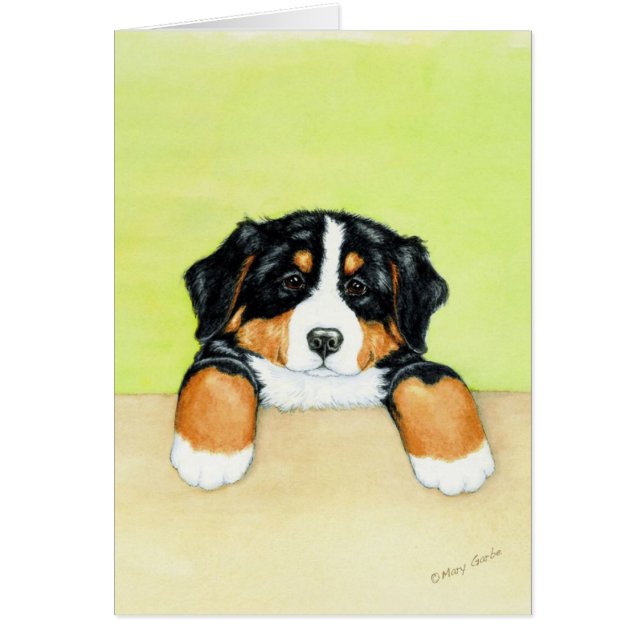 Chiot de Berner (Devant)