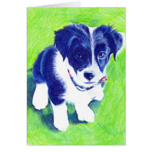 Chiot de border collie dans le crayon coloré