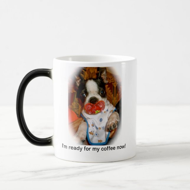 Chiot de Boston avec la tasse de Binky (Gauche)
