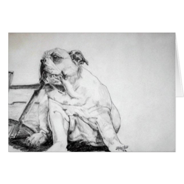 Chiot de chien de Taureau (Devant horizontal)