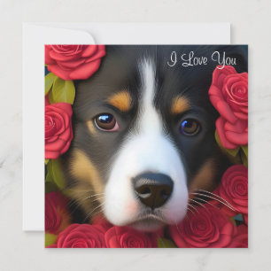 Chiot de Corgi en roses rouges