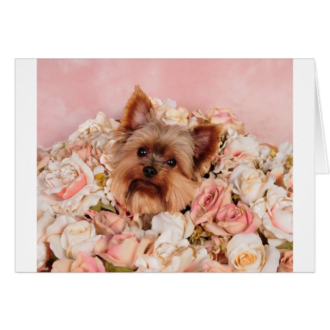 Chiot de fleur (Devant horizontal)