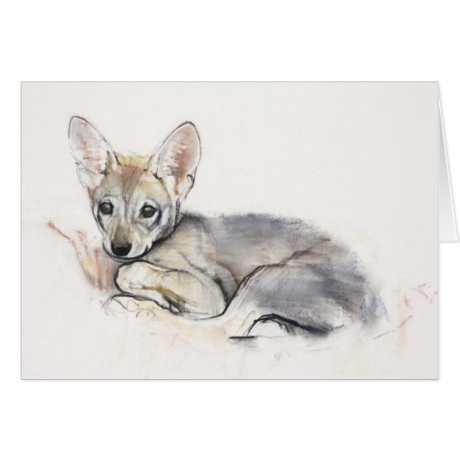 Chiot de loup Arabe courbé 2009 (Devant horizontal)