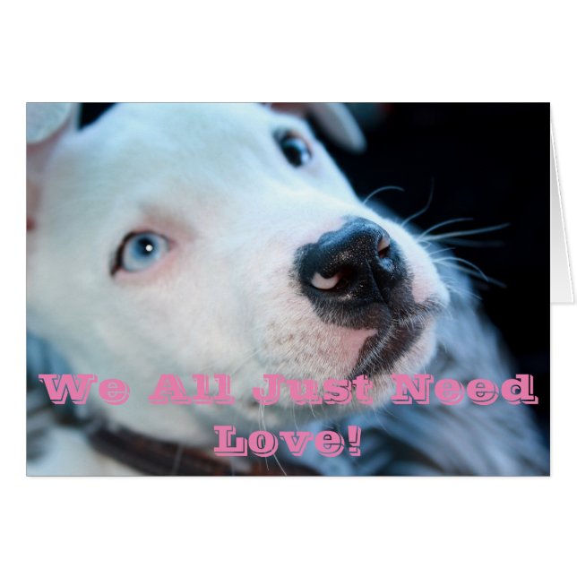 Chiot de pitbull de bébé (Devant horizontal)