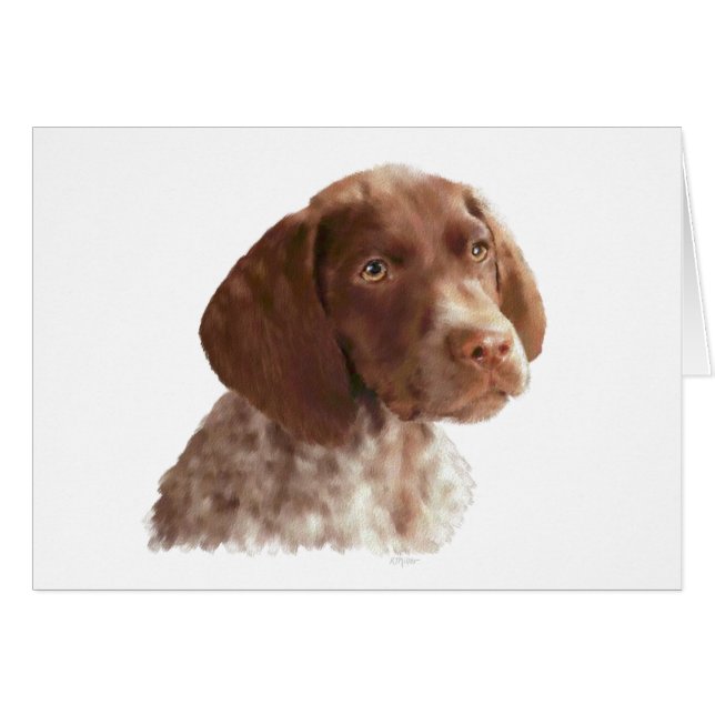 Chiot de Shorthair d'Allemand (Devant horizontal)