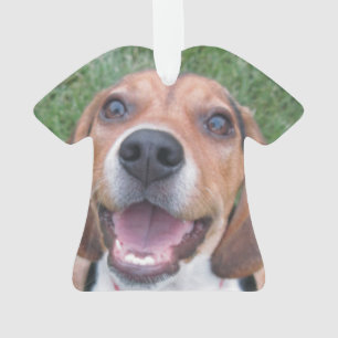 Chiot de sourire de beagle