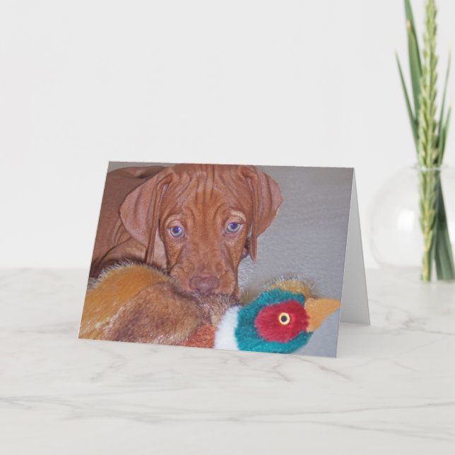 Chiot de Vizsla avec la carte de voeux de faisan (Devant)