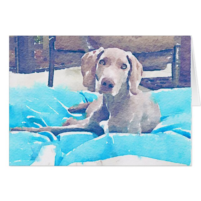 Chiot de Weimaraner (Devant Horizontal)