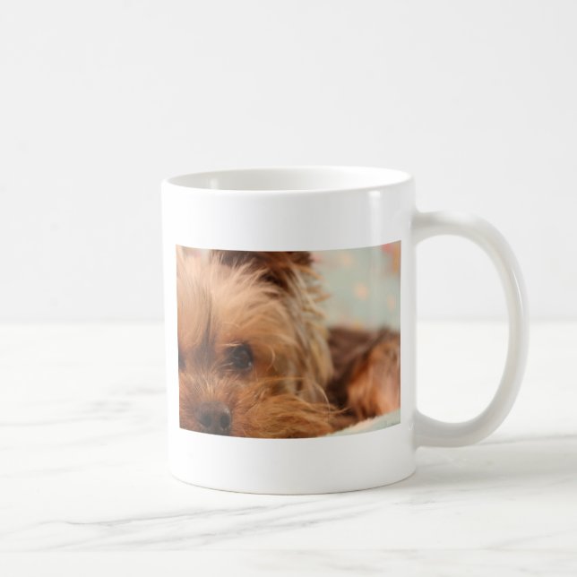 chiot de yorkie de tasse de thé (Droite)