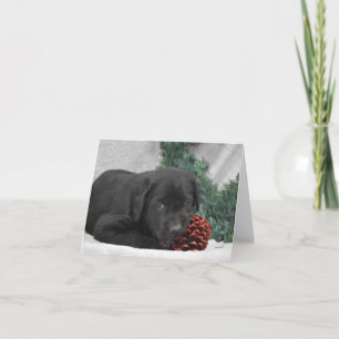 Chiot du Labrador avec couronne de Noël