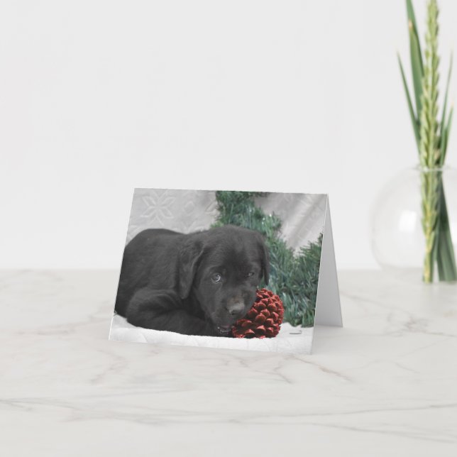 Chiot du Labrador avec couronne de Noël (Devant)