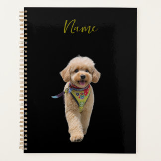 Chiot en peluche ivoire