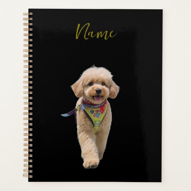 Chiot en peluche ivoire (Devant)