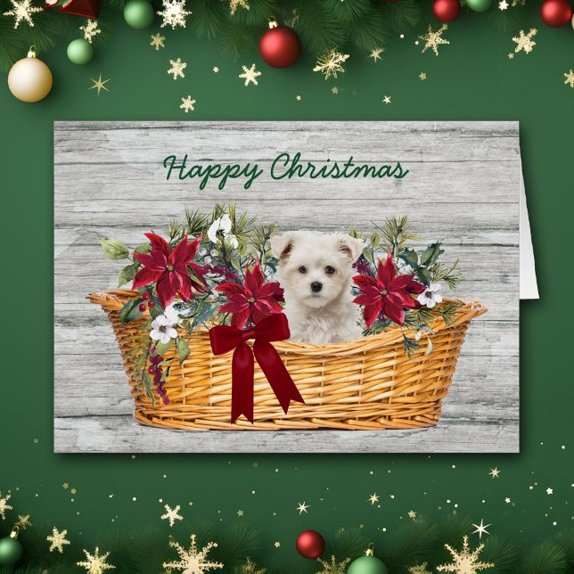 Chiot maltais blanc dans le panier Carte de Noël (Créateur téléchargé)