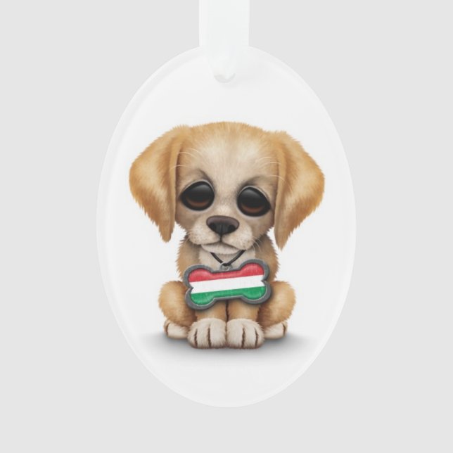 Chiot mignon avec l'étiquette de chien hongroise (devant)