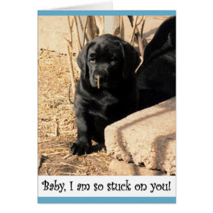 Chiot noir de laboratoire