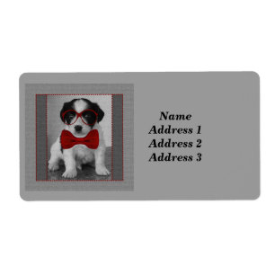 Chiot noir et blanc avec Étiquette de adresse de C