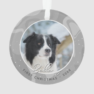 Chiot première frontière de Noël Collie Chien phot