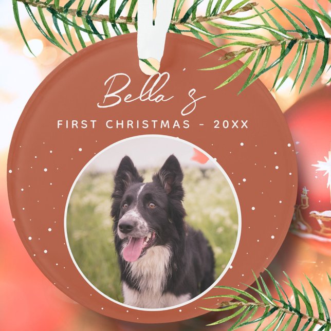 Chiot première frontière de Noël Collie Chien phot (Créateur téléchargé)