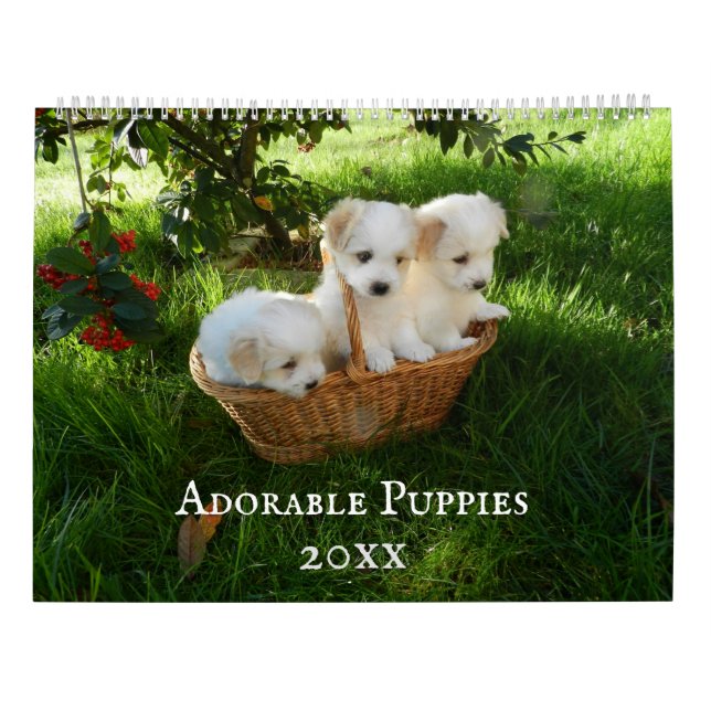 Chiots adorables Calendrier personnalisé (Dos)