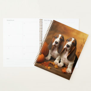 Chiots Basset Hound Délice d'Automne Citrouille 