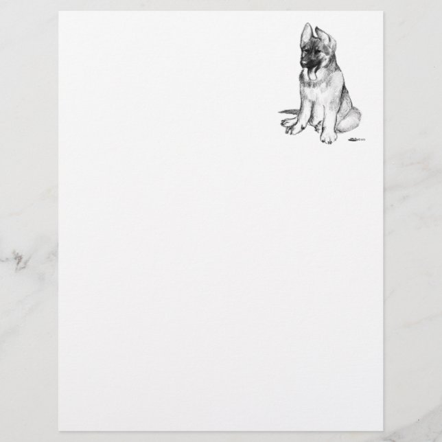 Chiots Berger Allemand (Devant)