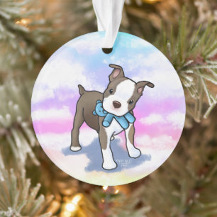 Chiots Boston Terrier