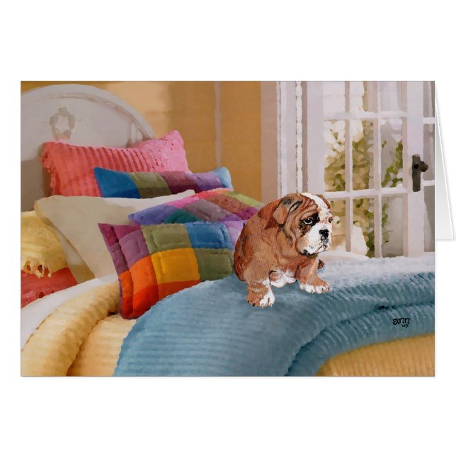Chiots Bouledogue Anglais (Devant horizontal)