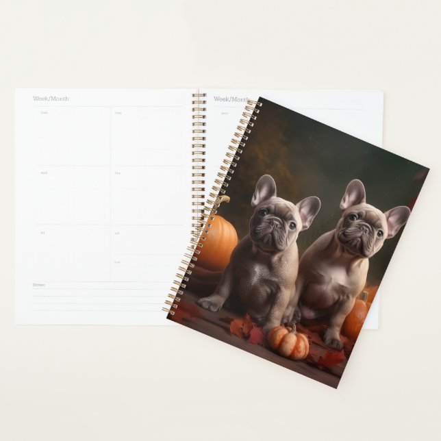 Chiots Bouledogue Français Délice d'Automne Citrou (Devant avec enveloppe)