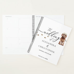 Chiots Cavapoo marron Amour de Chien Mariage