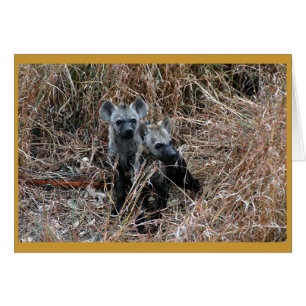 Chiots curieux d'hyène