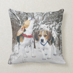 Chiots de beagle dans le coussin de neige de