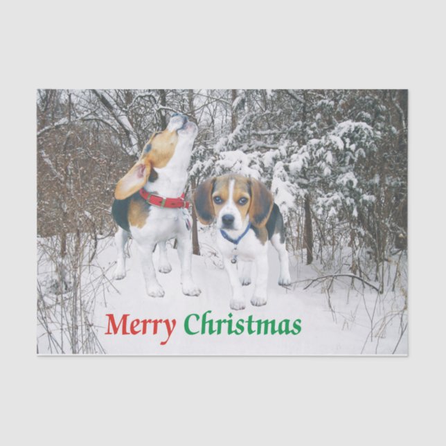 Chiots de beagle de Joyeux Noël en papier de soie (Recto)