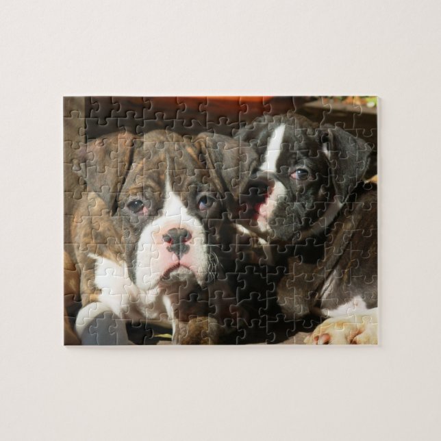 Chiots de boîte 8 x 10 Photo Puzzle avec Tin (Horizontal)